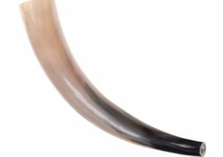 Rufhorn - Signalhorn 45-50 cm lang poliert