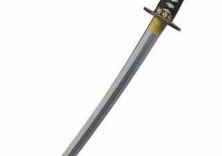 ​Hanwei Wind and Thunder Wakizashi