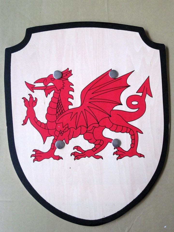 Kinder Schild von Wales, Holz (AUSVERKAUF)