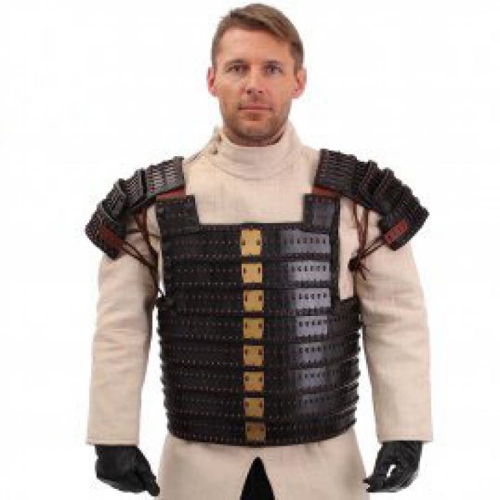 Viking Lamellar Pantser Metaal