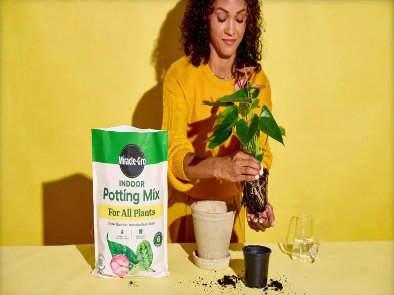 Miracle-Gro Indoor Potting Mix for All Plants, Use with Houseplants and More, 6 qt.