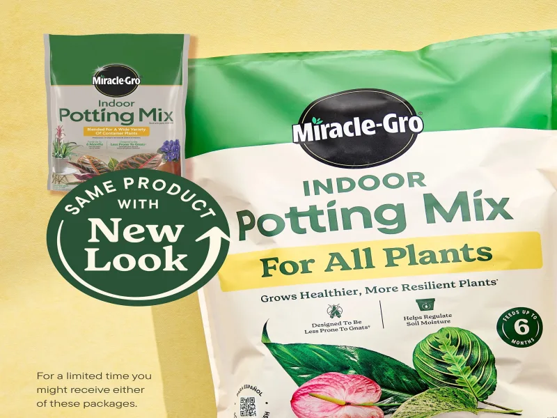 Miracle-Gro Indoor Potting Mix for All Plants, Use with Houseplants and More, 6 qt. - Image 3