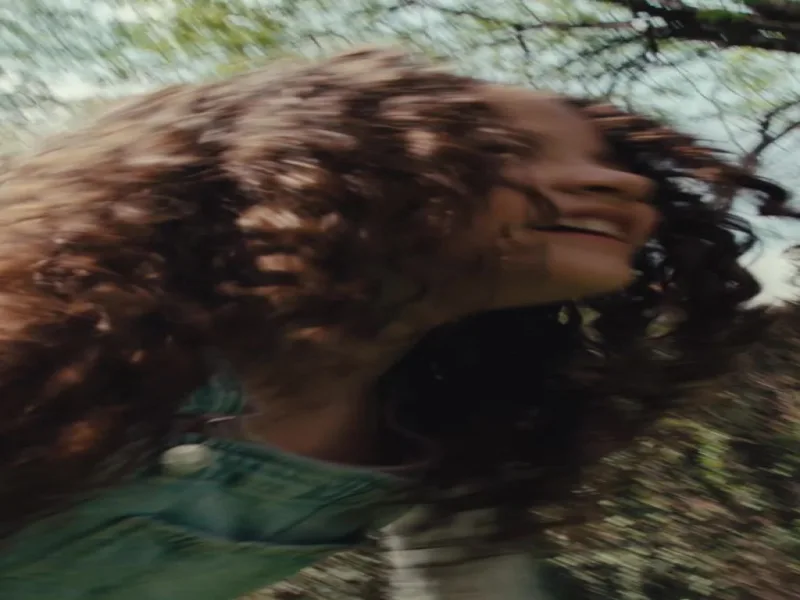 Del Monte Mandarin Oranges in 100% Juice, 4 oz Cup (Pack of 12)