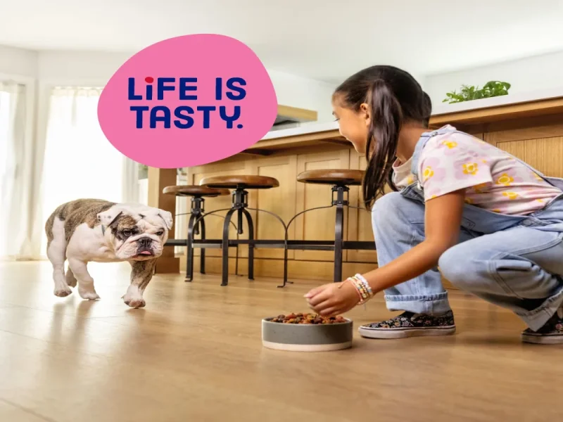 Kibbles ‘n Bits Mini Bits Small Breed Dry Dog Food Savory Beef & Chicken Flavors, 16 lb. Bag - Image 6