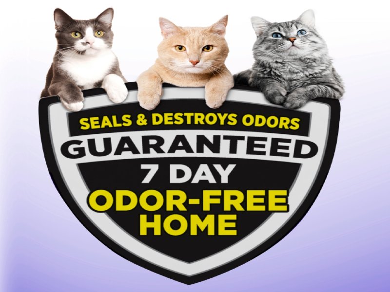 ARM & HAMMER Clump & Seal SLIDE Cat Litter, Easy Clean-up Multi-Cat Clumping Litter, 14 lbs - Image 3