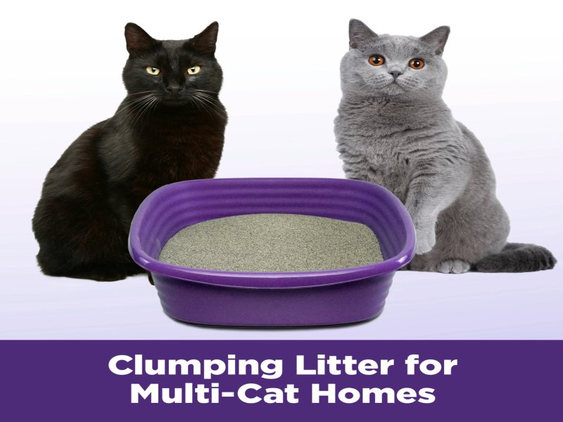 ARM & HAMMER Clump & Seal SLIDE Cat Litter, Easy Clean-up Multi-Cat Clumping Litter, 14 lbs - Image 6