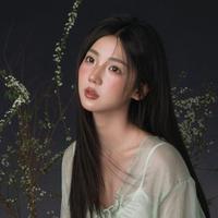 Li Haidi