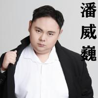 Pan Weiwei