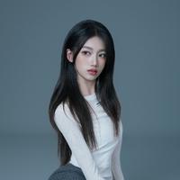 Shen Xiaojun