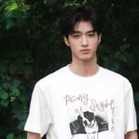 Wang Ding