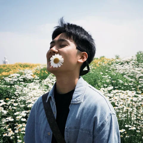 石春诺