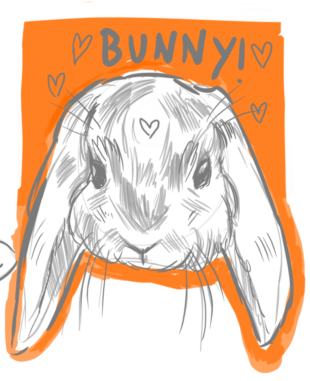 bunny orange