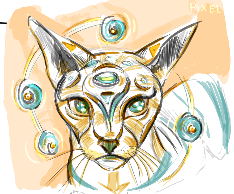 golden sphynx cat