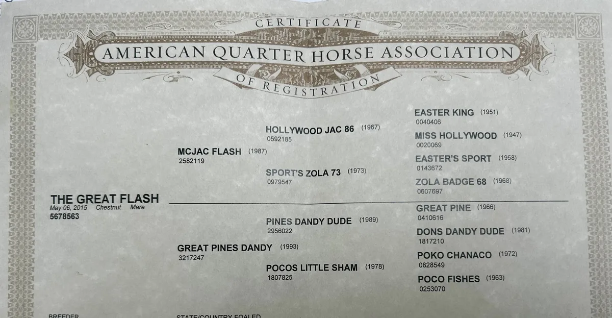 The Great Flash