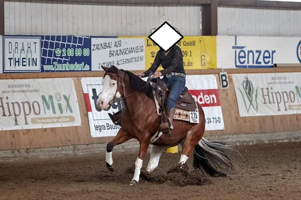 Gunnerbelle