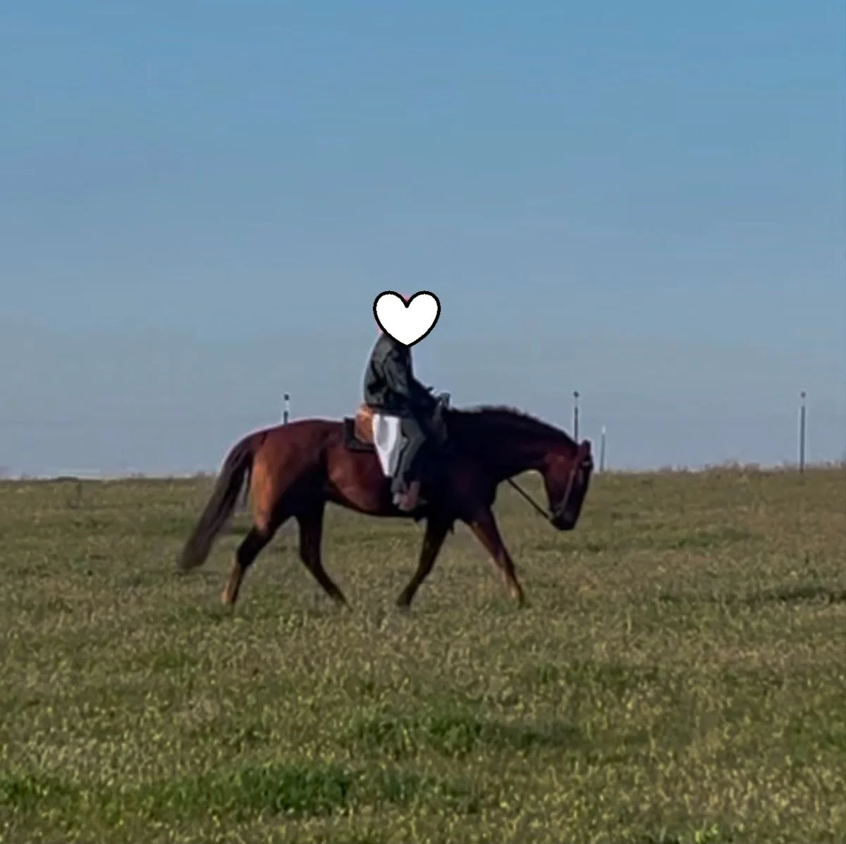 Nu Color N Slowmotion 3
