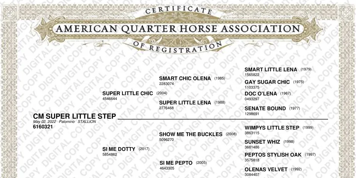 CM Super Little Step