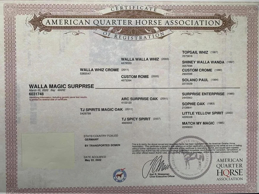Walla Magic surprize
