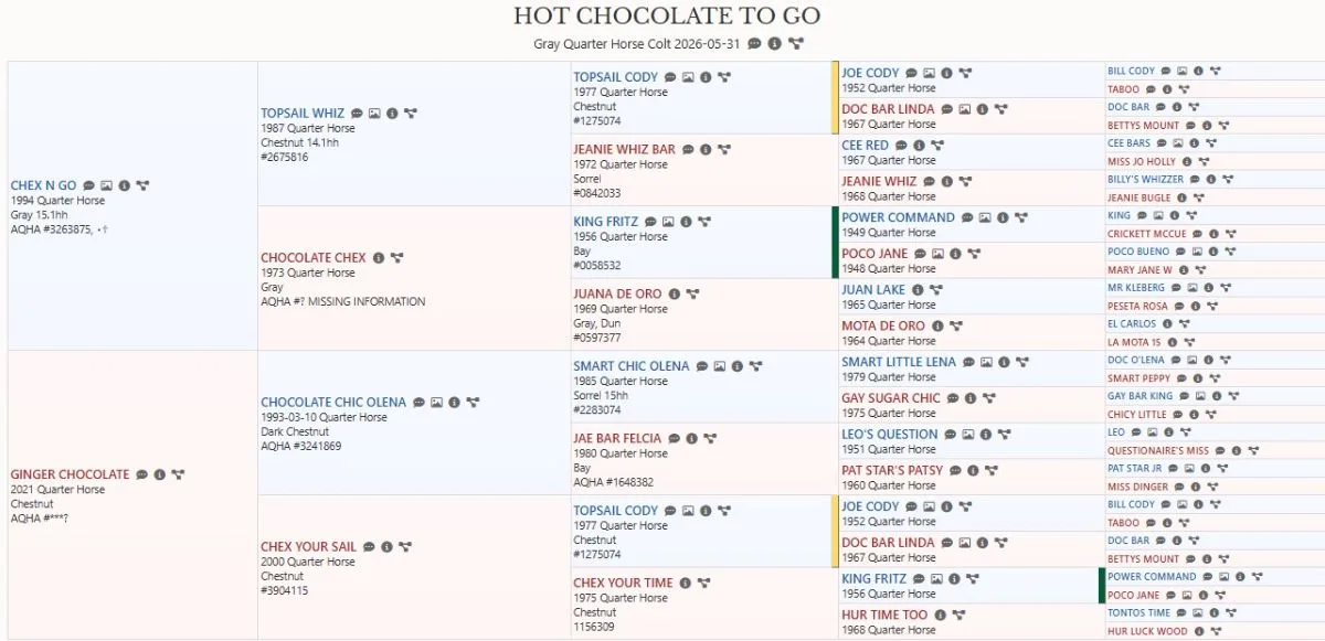 💥Hot Chocolate To Go💥