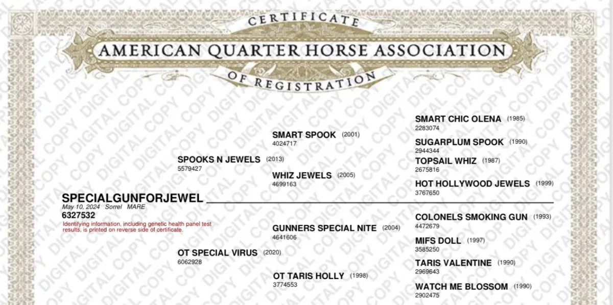 Specialgunforjewele