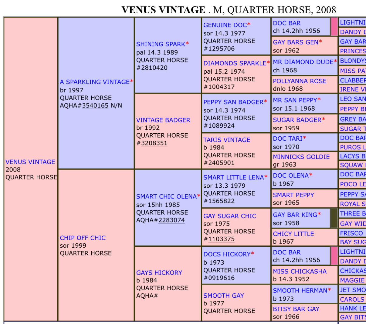 2 for 1 Venus Vintage with filly