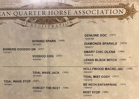 Voodoo The Rest