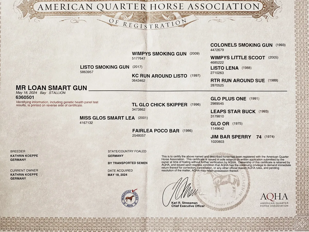 MR Loan Smart Gun