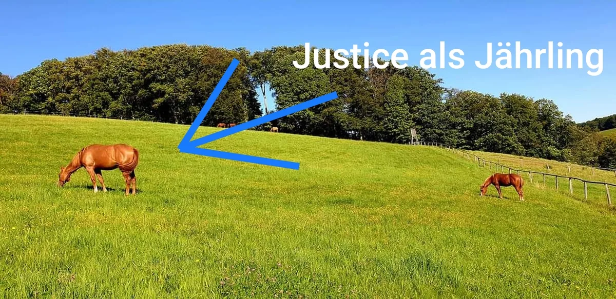 Justice