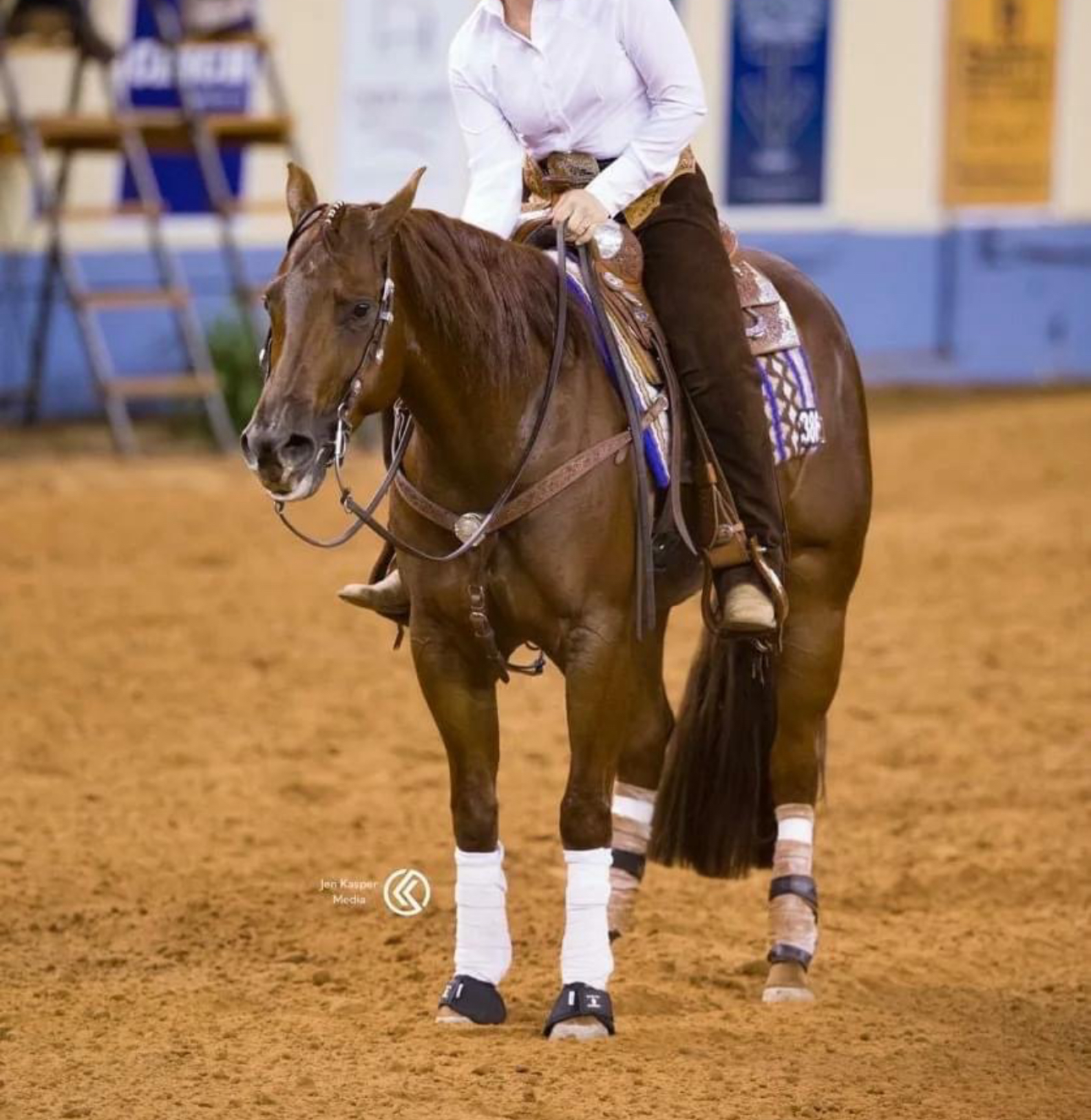 High Quality Quarter Horse Mare by Smart Spook