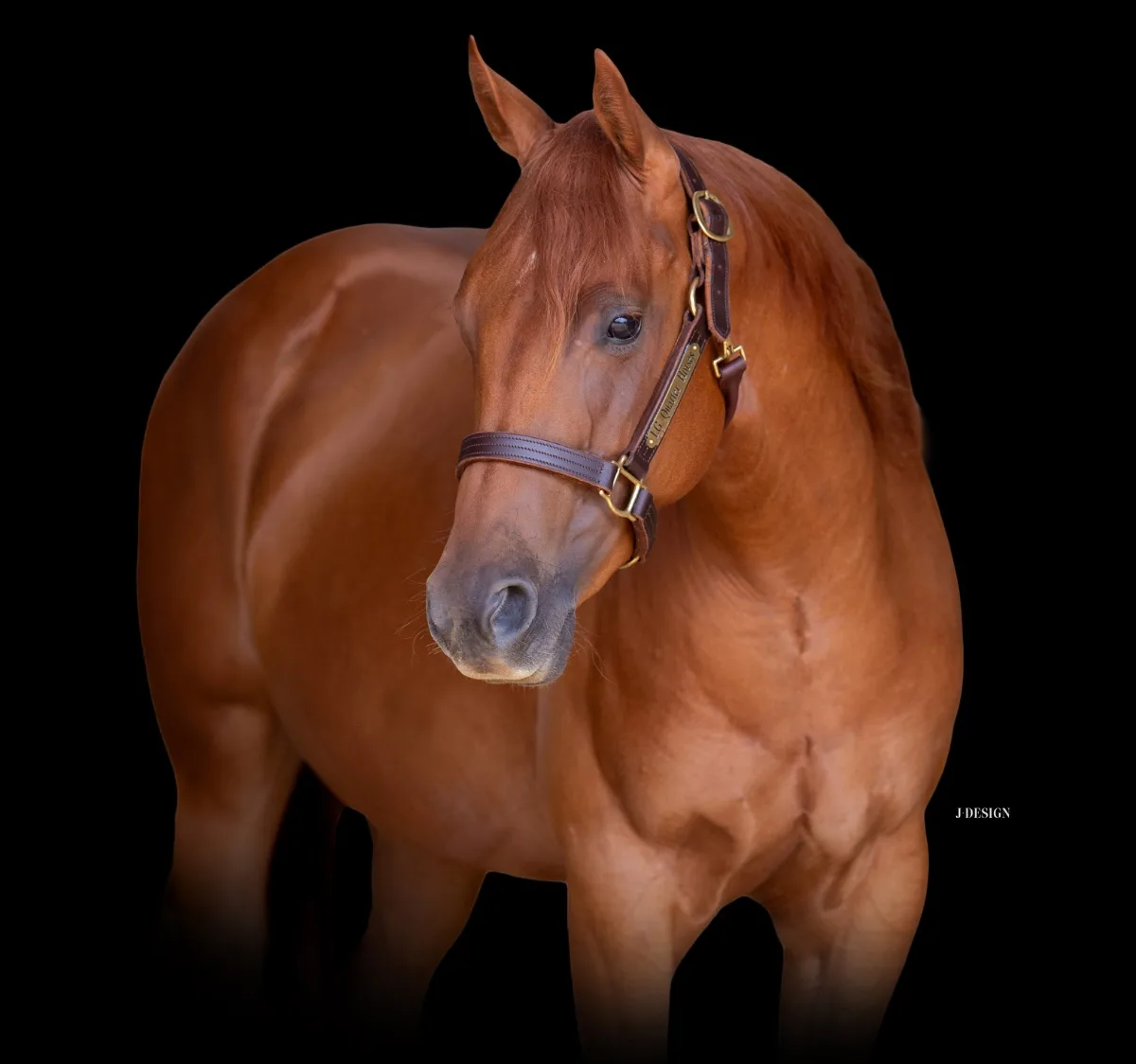 Futurity Prospect 3YO 