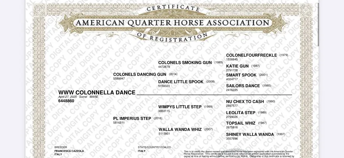 WWW COLONNELLA DANCE