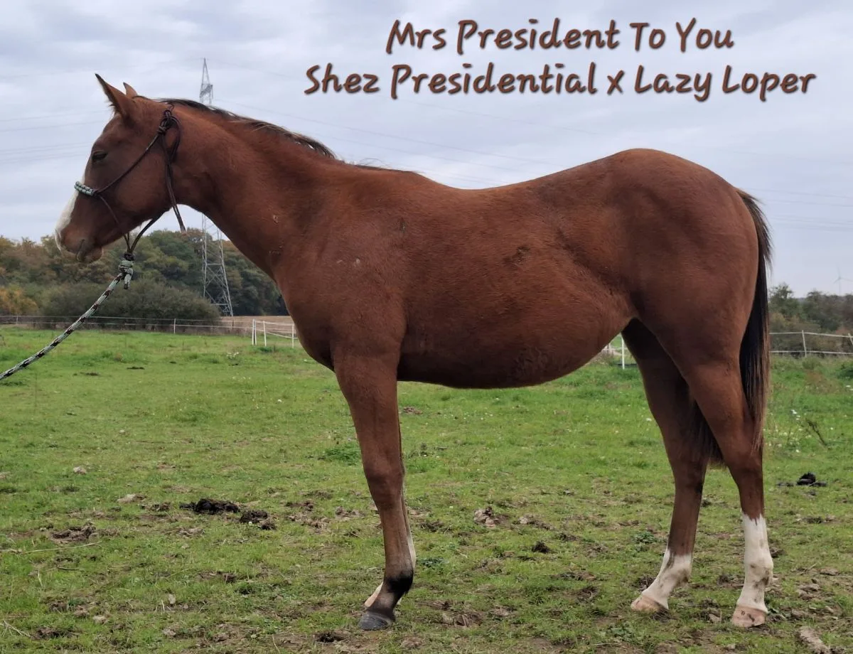 Mrs President To You