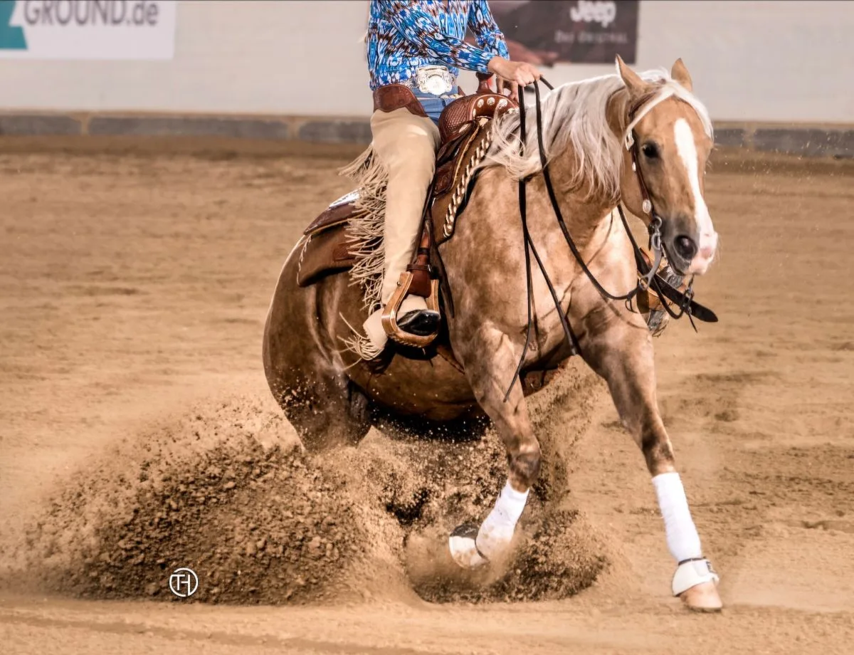 Colonels Shining Gun mare