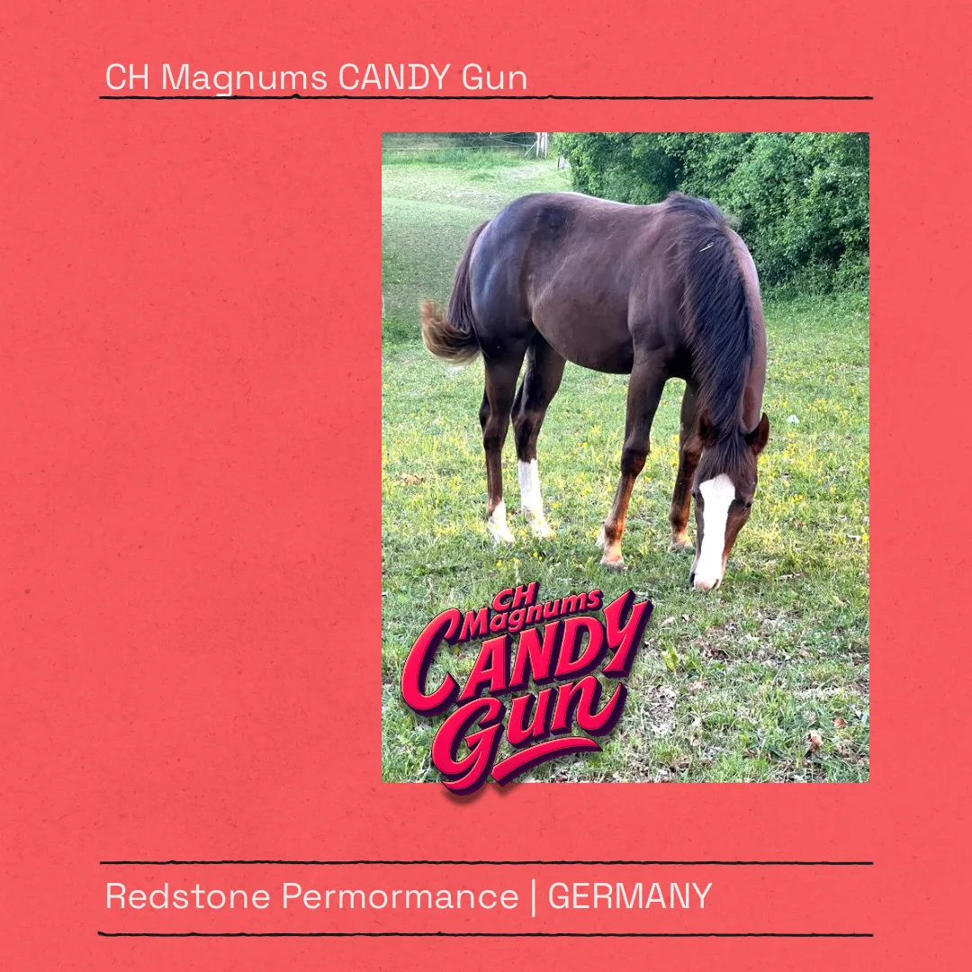 CH Magnums Candy Gun by RUF LIL MAGNUM