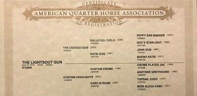 The Lighsout Gun