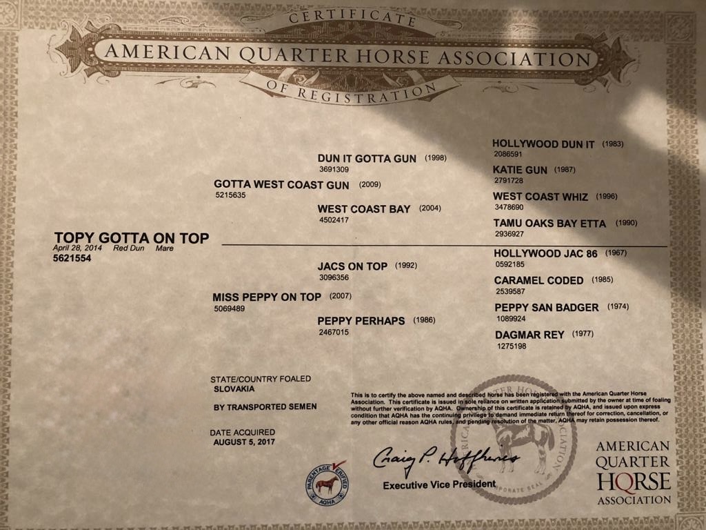 Topy Gotta On Top