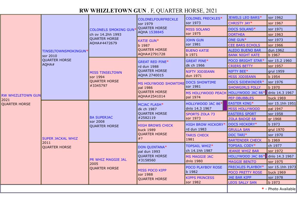 RW Whizletown Gun