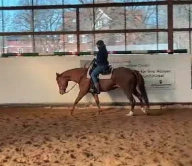 Inmotion