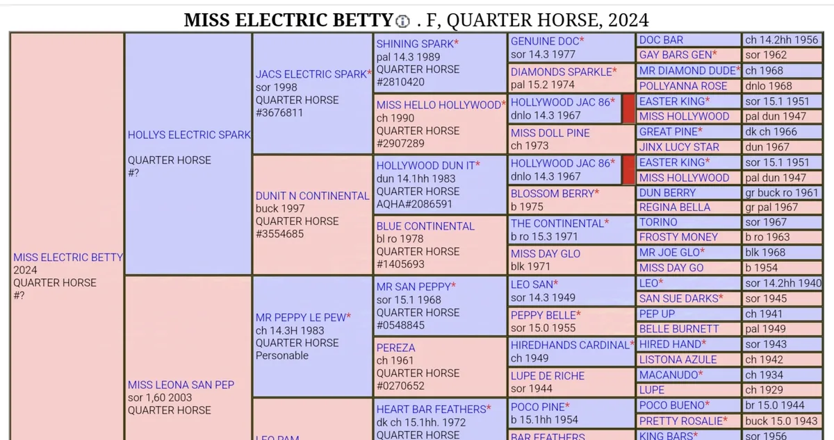 Miss Electric Betty