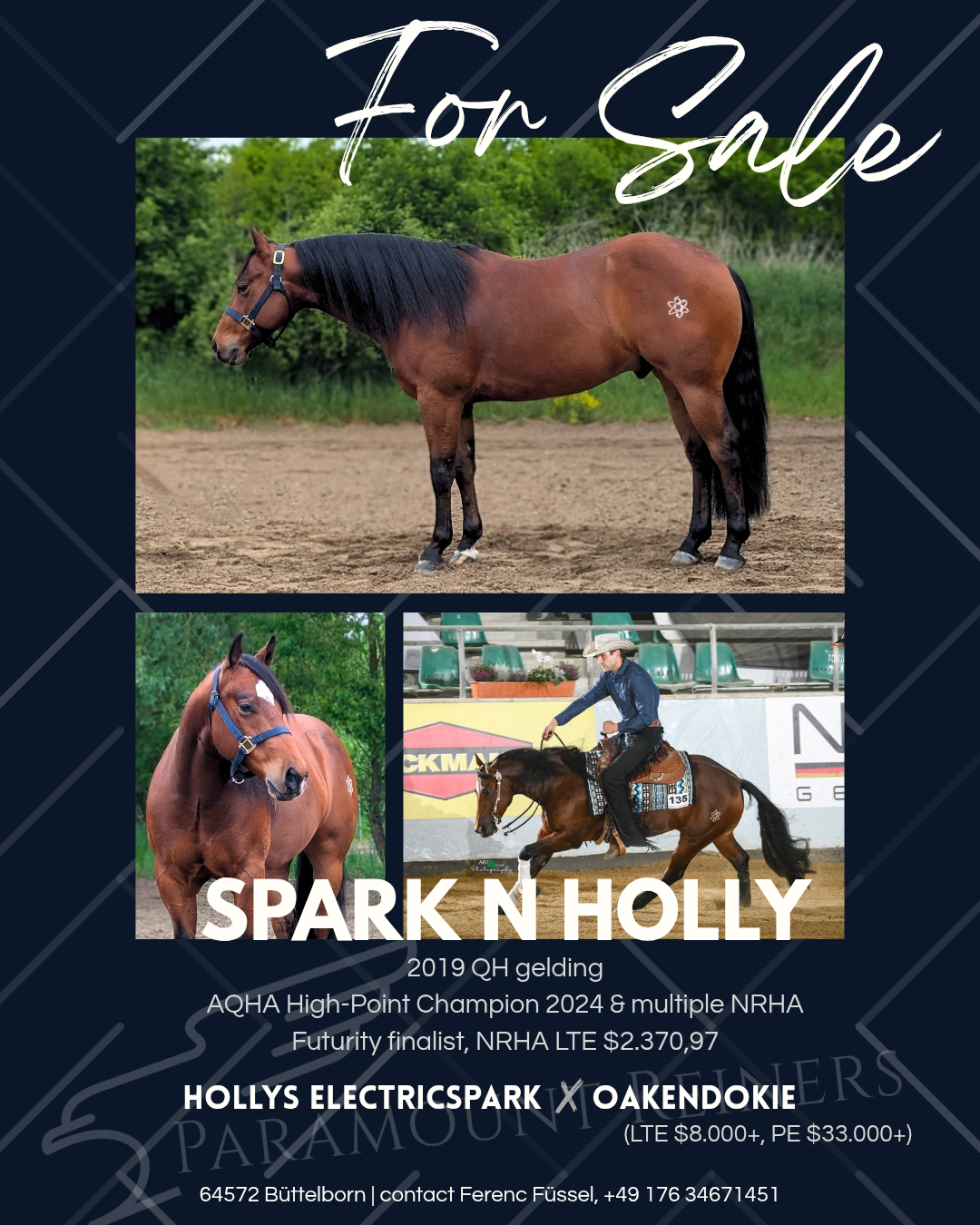 Spark N Holly