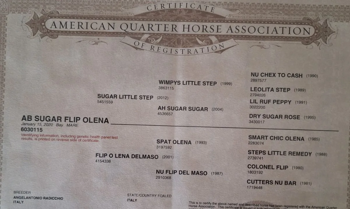 AB Sugar Flip Olena