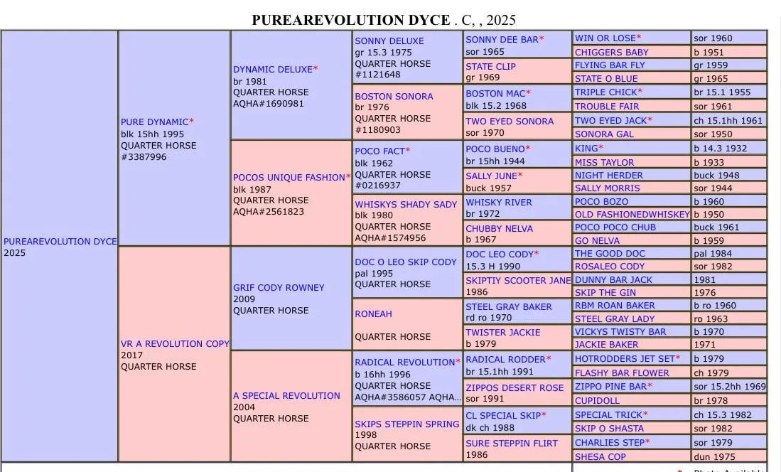 Purearevolution Dyce