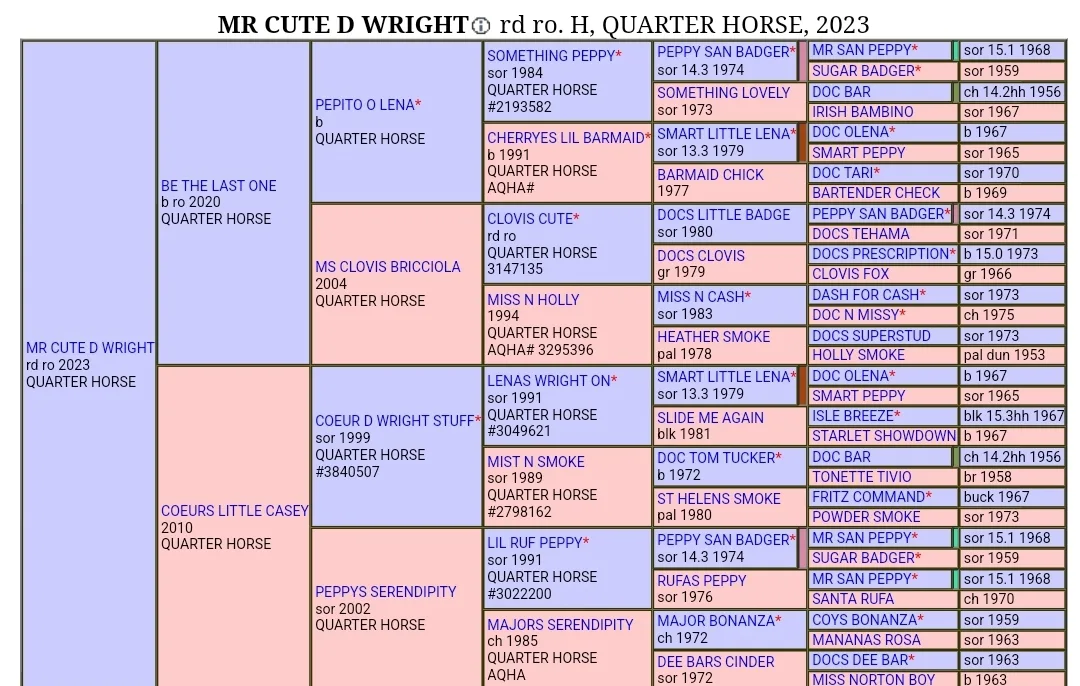 Mr Cute D Wright