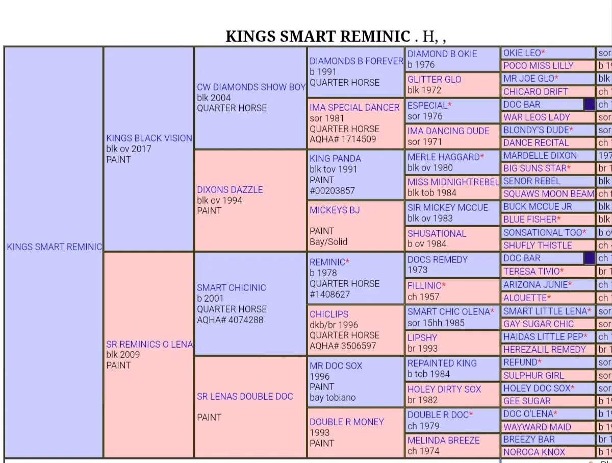 Kings Smart Reminic 