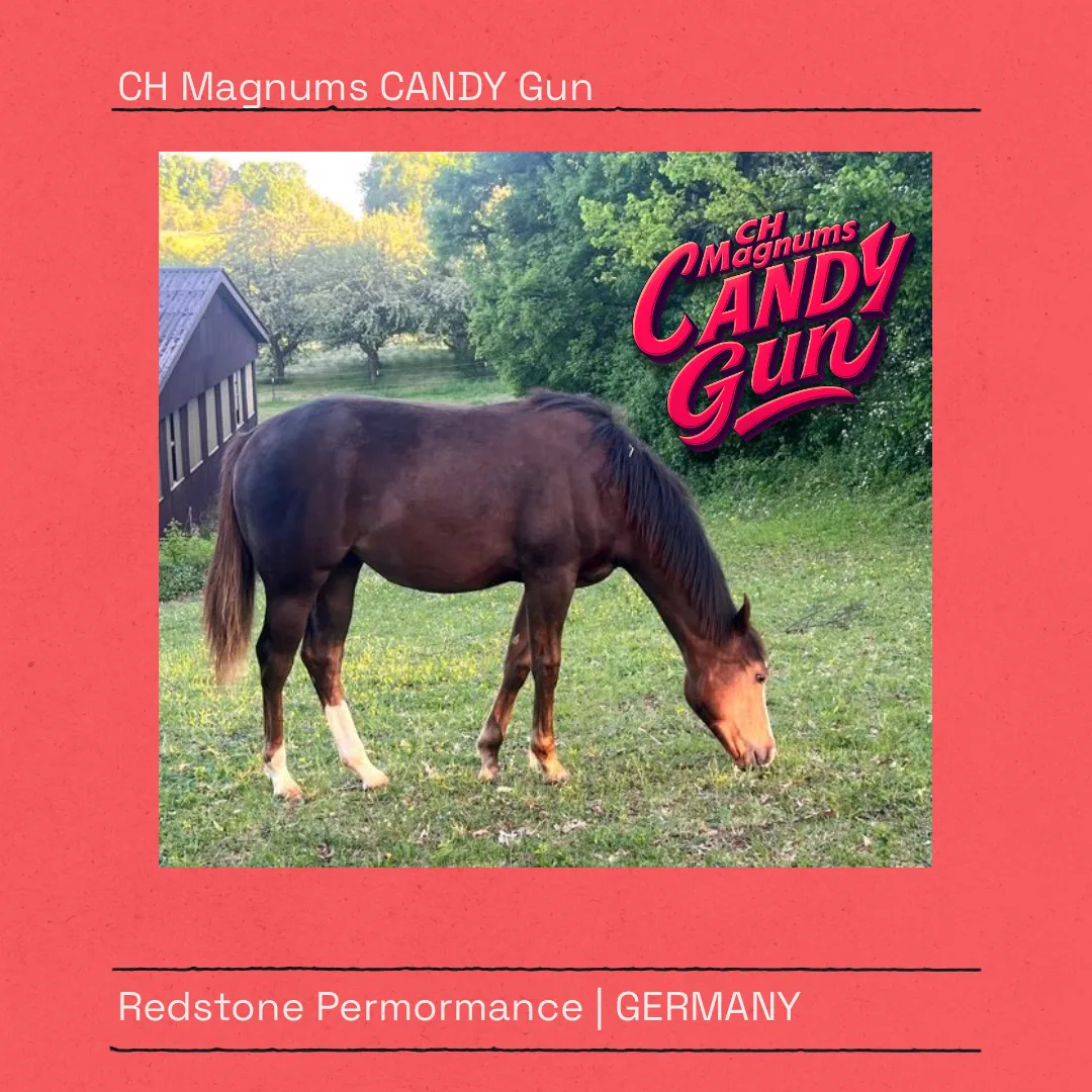 CH Magnums Candy Gun by RUF LIL MAGNUM