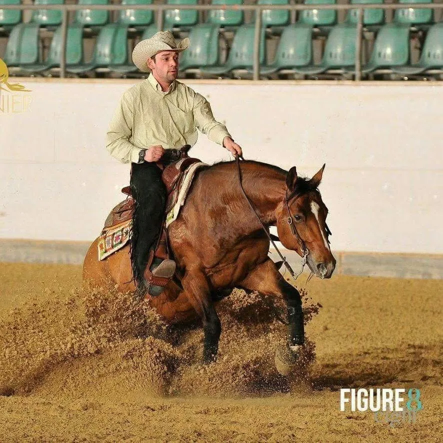 Reining Kurs mit Alexander Ripper