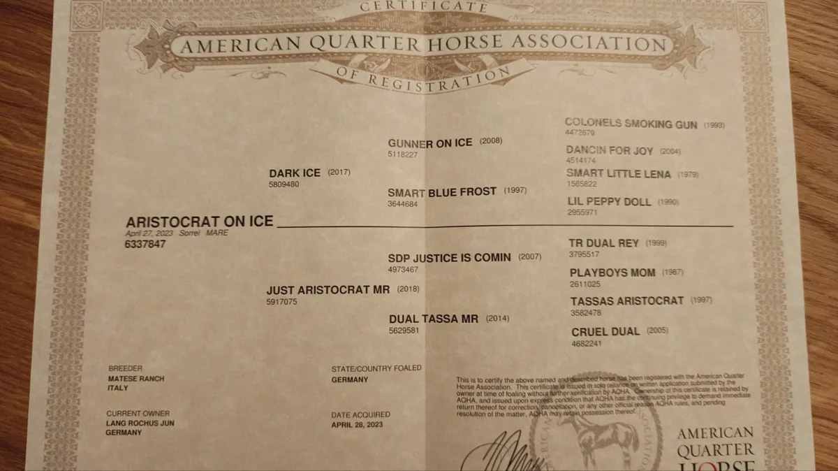 ARISTOCRAT ON ICE
