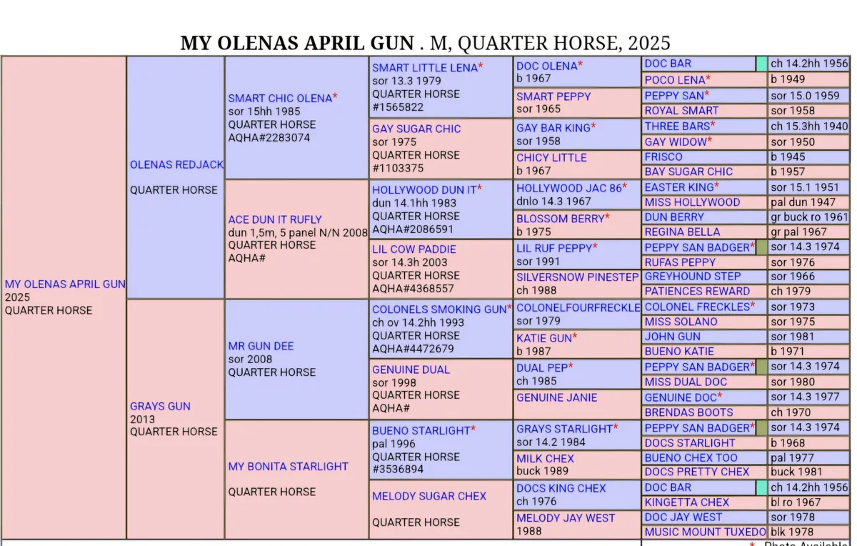 My Olenas April Gun