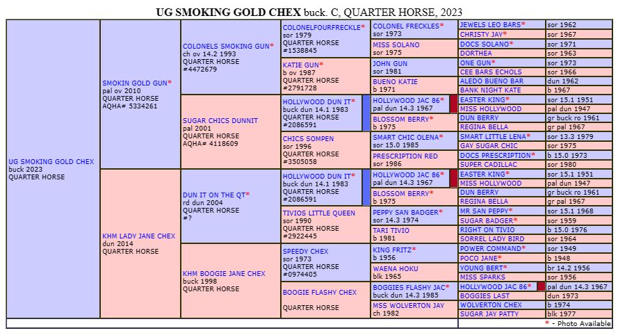 UG Smoking Gold Chex