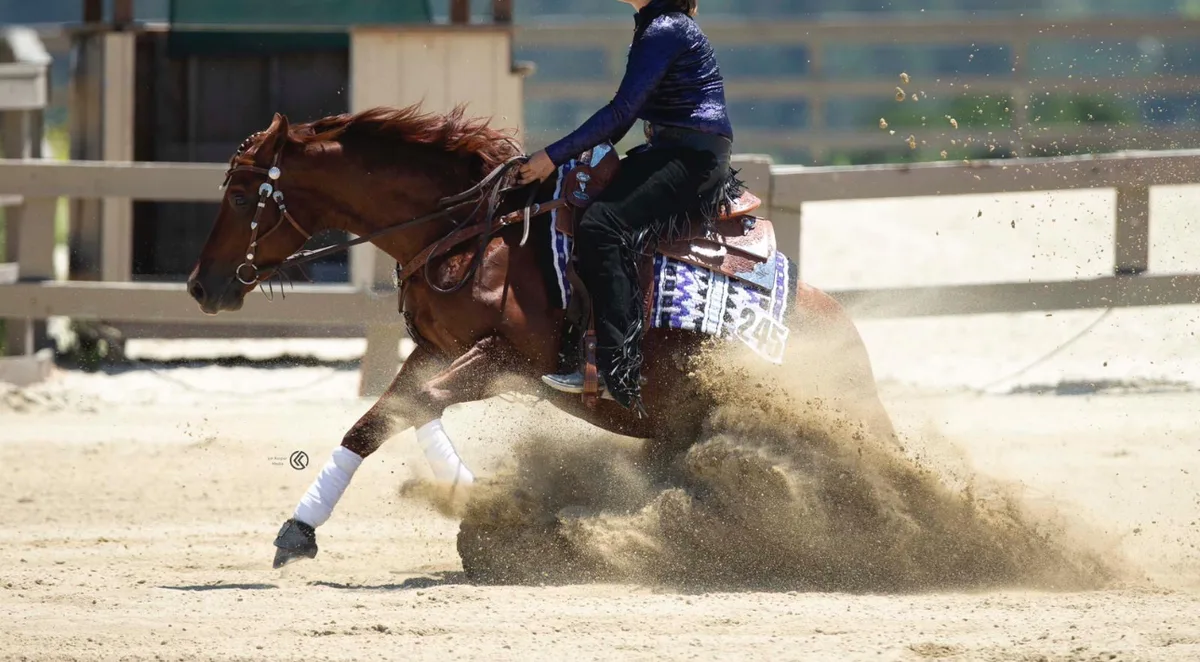 High Quality Quarter Horse Mare by Smart Spook